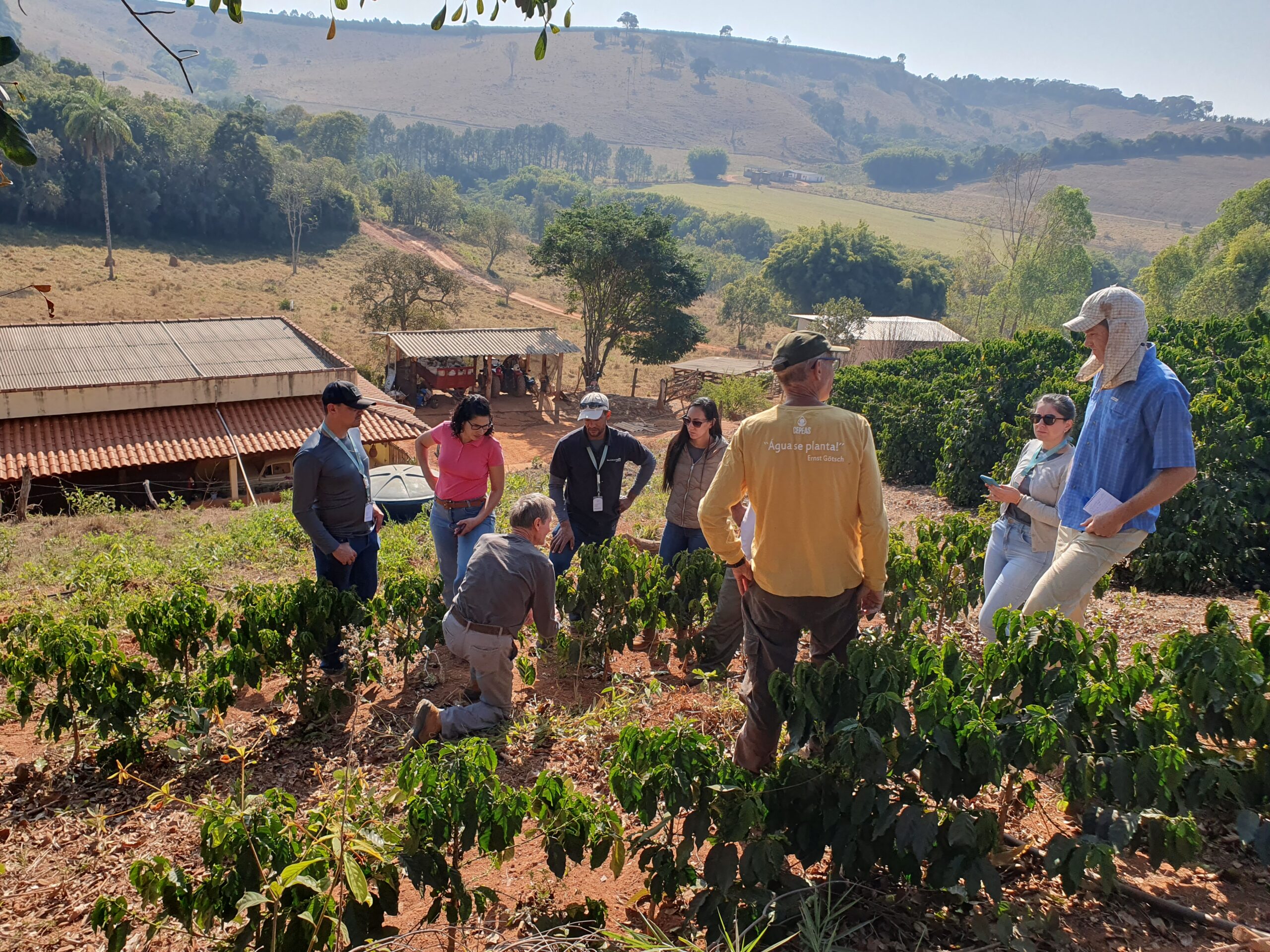 Stronger cooperatives and improved farmer incomes